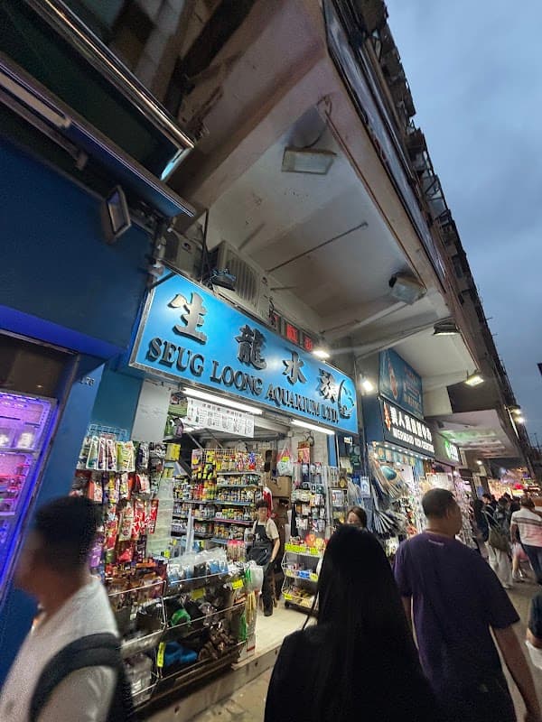 Goldfish Market