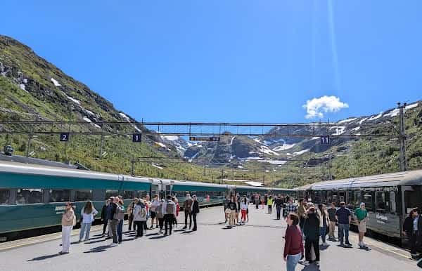Myrdal Station