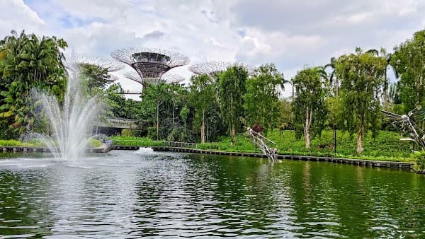 Dragonfly Lake