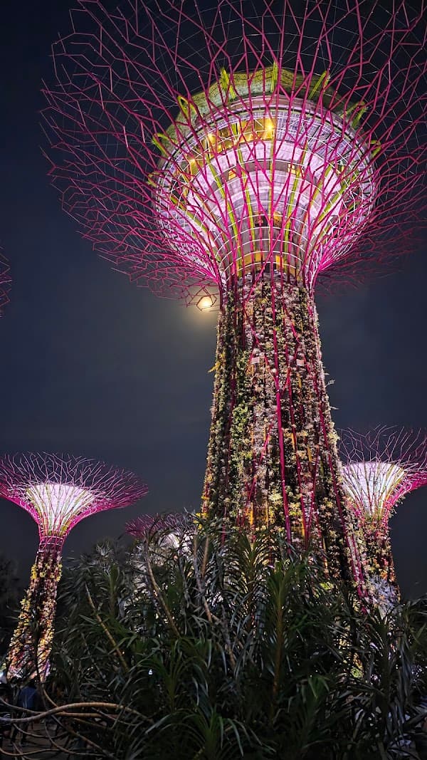 Supertree Grove
