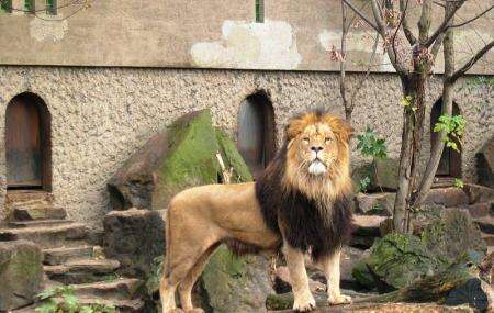 ARTIS Amsterdam Royal Zoo