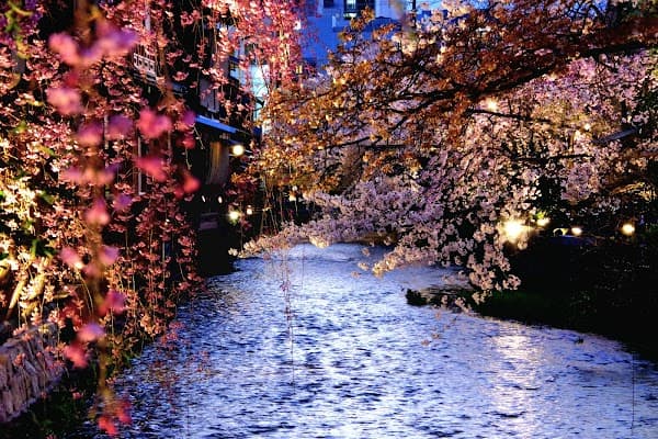 Shirakawa Lane