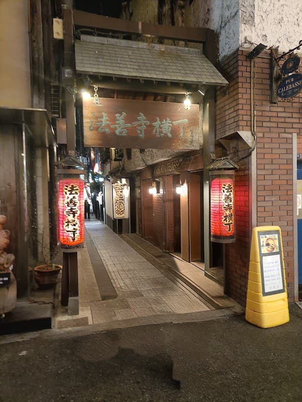 Hozenji Yokocho Alley