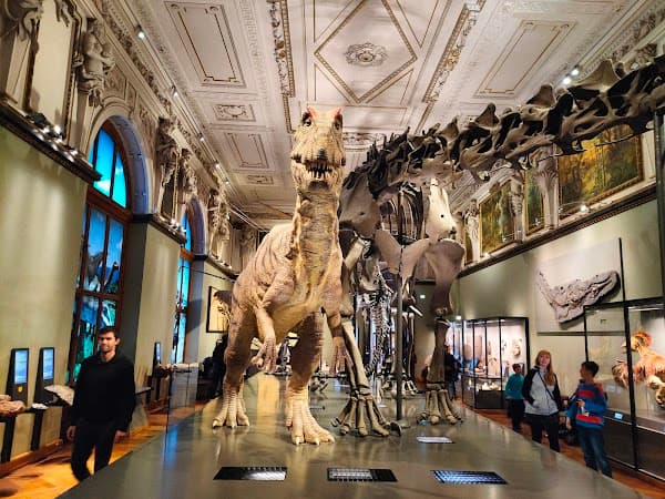 Natural History Museum Vienna (Naturhistorisches Museum Wien)