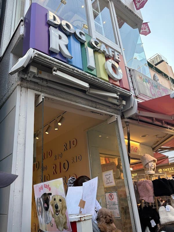 Dog Cafe Rio Harajuku