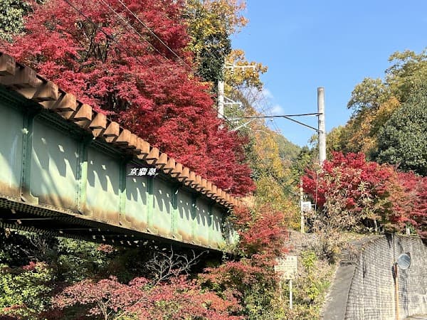 Eizan Electric Railway Maple Tunnel