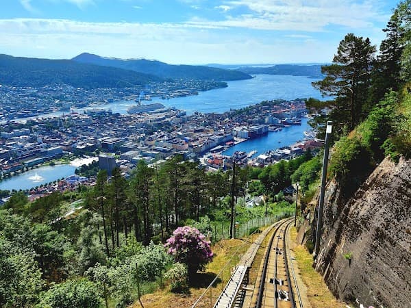 Fløyen