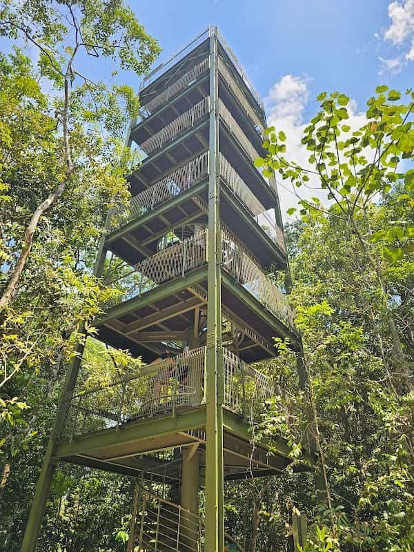 Jelutong Tower