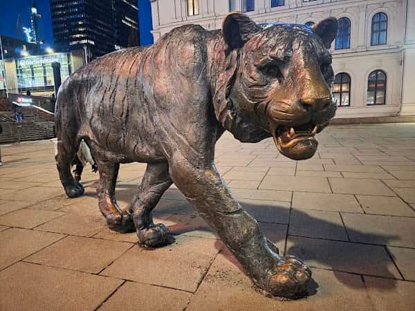 The Tiger