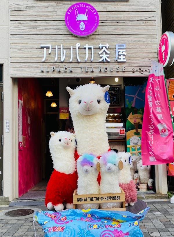 Alpaca Tea House