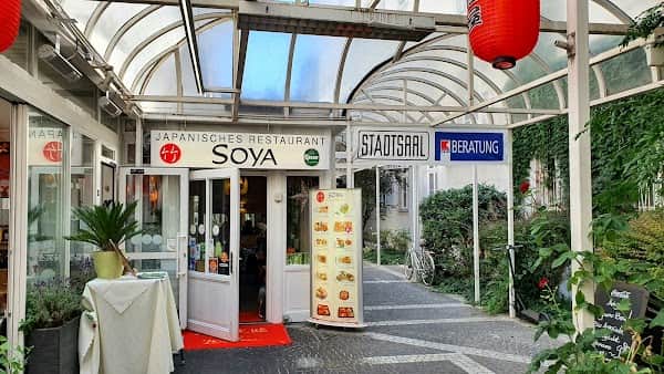Soya Noodles