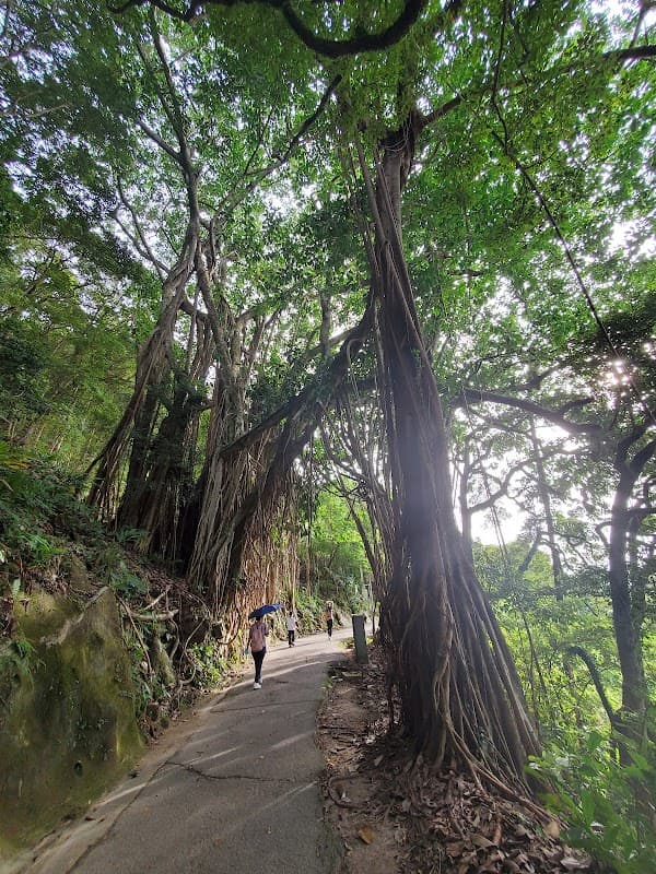 Peak Circle Walk