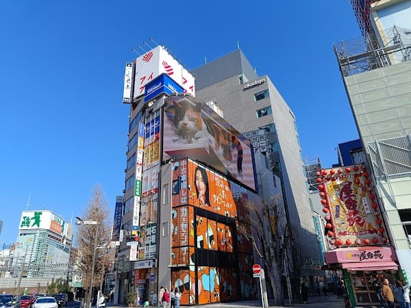 Shinjuku 3D Cat Billboard