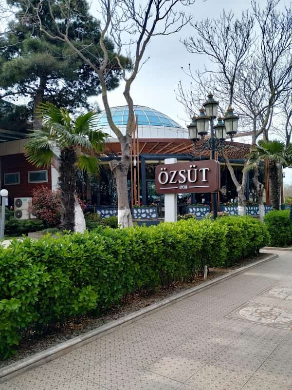 Özsüt